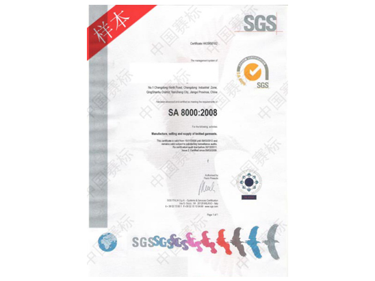 SA8000